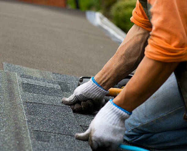 Best Roof Gutter Cleaning  in Port Republic, NJ